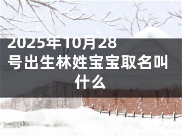 2025年10月28号出生林姓宝宝取名叫什么