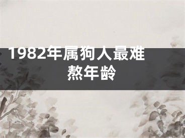 1982年属狗人最难熬年龄