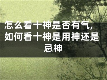 怎么看十神是否有气,如何看十神是用神还是忌神