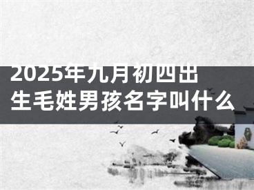 2025年九月初四出生毛姓男孩名字叫什么