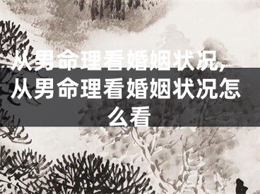 从男命理看婚姻状况,从男命理看婚姻状况怎么看