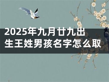 2025年九月廿九出生王姓男孩名字怎么取
