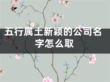 五行属土新颖的公司名字怎么取