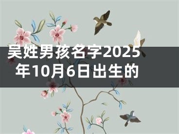 吴姓男孩名字2025年10月6日出生的
