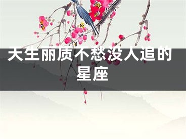 天生丽质不愁没人追的星座