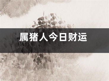 属猪人今日财运