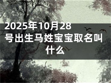 2025年10月28号出生马姓宝宝取名叫什么