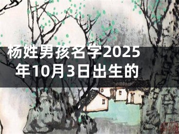 杨姓男孩名字2025年10月3日出生的