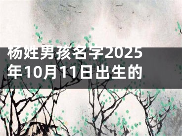杨姓男孩名字2025年10月11日出生的