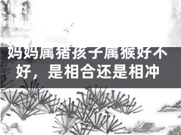 妈妈属猪孩子属猴好不好，是相合还是相冲