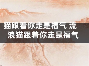 猫跟着你走是福气 流浪猫跟着你走是福气