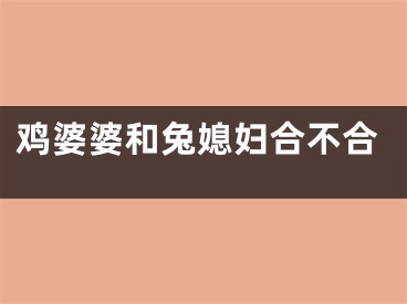 鸡婆婆和兔媳妇合不合