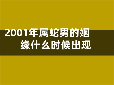 2001年属蛇男的姻缘什么时候出现