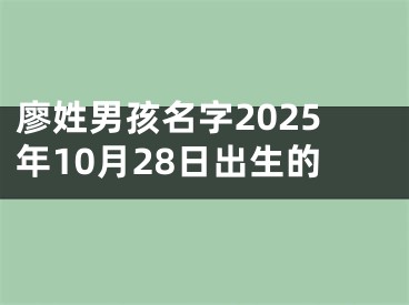 廖姓男孩名字2025年10月28日出生的