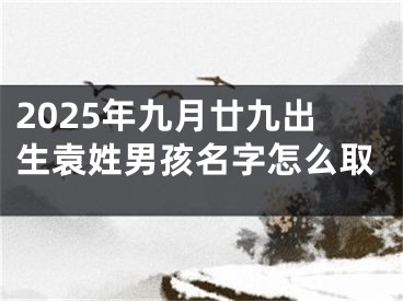 2025年九月廿九出生袁姓男孩名字怎么取