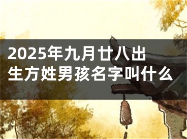 2025年九月廿八出生方姓男孩名字叫什么