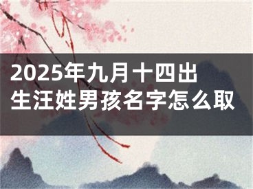 2025年九月十四出生汪姓男孩名字怎么取