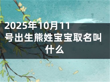 2025年10月11号出生熊姓宝宝取名叫什么