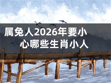 属兔人2026年要小心哪些生肖小人