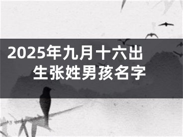 2025年九月十六出生张姓男孩名字