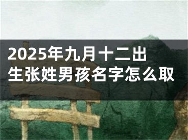 2025年九月十二出生张姓男孩名字怎么取
