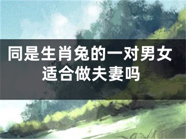 同是生肖兔的一对男女适合做夫妻吗