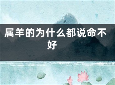 属羊的为什么都说命不好 