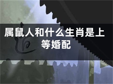 属鼠人和什么生肖是上等婚配