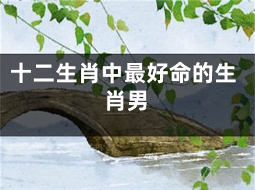 十二生肖中最好命的生肖男