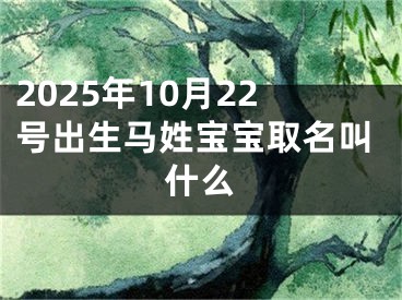 2025年10月22号出生马姓宝宝取名叫什么