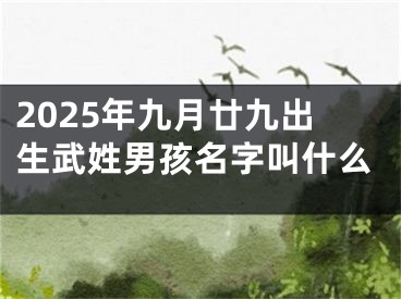 2025年九月廿九出生武姓男孩名字叫什么