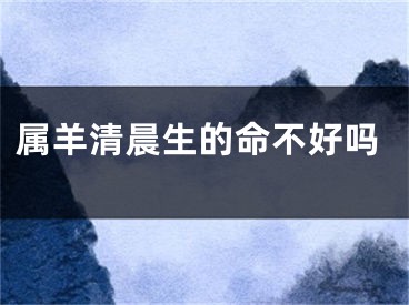属羊清晨生的命不好吗
