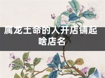 属龙土命的人开店铺起啥店名