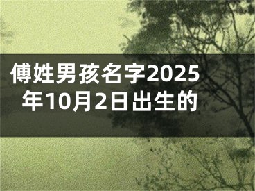 傅姓男孩名字2025年10月2日出生的