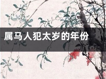 属马人犯太岁的年份 
