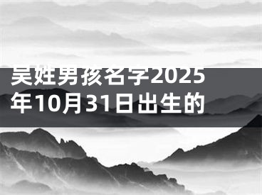 吴姓男孩名字2025年10月31日出生的