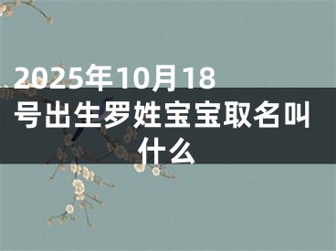 2025年10月18号出生罗姓宝宝取名叫什么