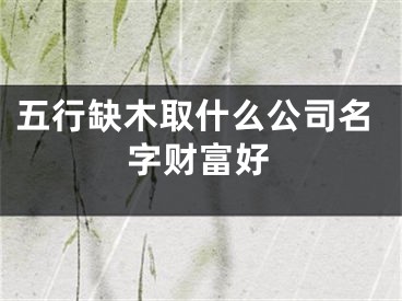 五行缺木取什么公司名字财富好