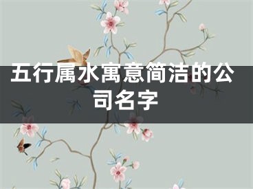 五行属水寓意简洁的公司名字