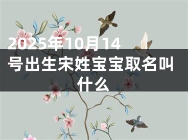 2025年10月14号出生宋姓宝宝取名叫什么