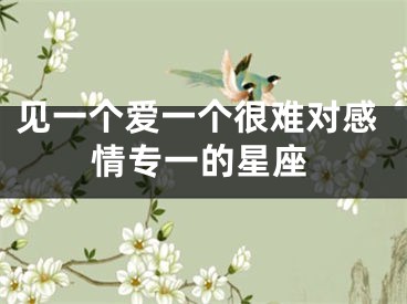 见一个爱一个很难对感情专一的星座