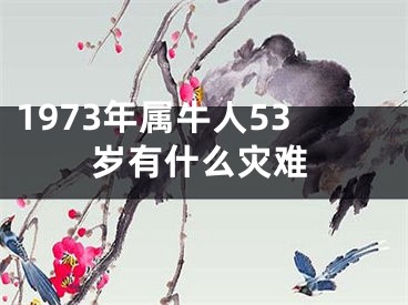 1973年属牛人53岁有什么灾难