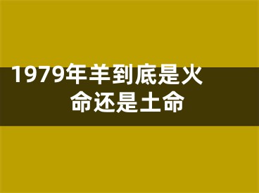 1979年羊到底是火命还是土命
