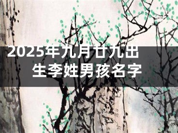 2025年九月廿九出生李姓男孩名字