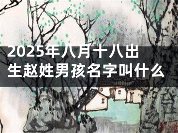 2025年八月十八出生赵姓男孩名字叫什么