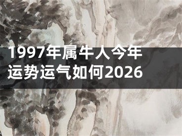 1997年属牛人今年运势运气如何2026