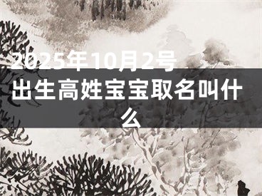 2025年10月2号出生高姓宝宝取名叫什么
