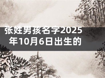 张姓男孩名字2025年10月6日出生的