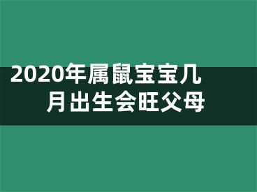 2020年属鼠宝宝几月出生会旺父母