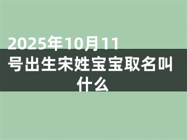 2025年10月11号出生宋姓宝宝取名叫什么